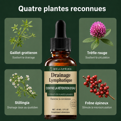 Quatre plantes traditionnellement reconnues